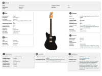 Fender Jim Root Jazzmaster Fender Jim Root Jazzmaster